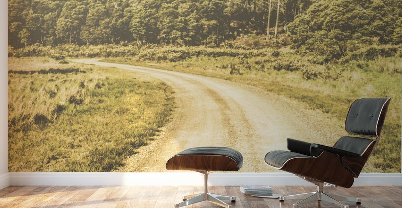 Empty curved gravel road in Tasmania Australia Wall Murals