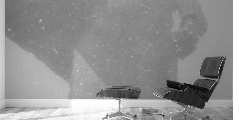 Reflections of an early settler Wall Murals