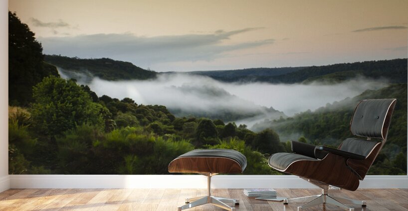 Waratah morning landscape of Mount Bischoff Valley Wall Murals