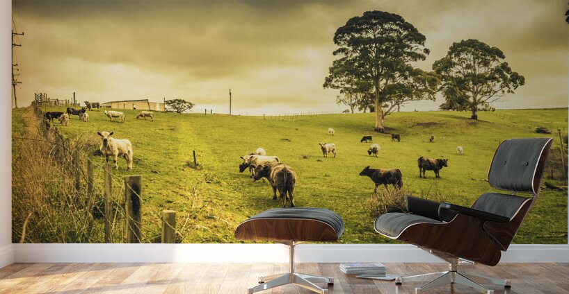 Colourful Australian cattle station Wall Murals