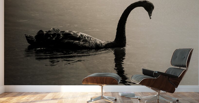 Silhouetted Wall Murals