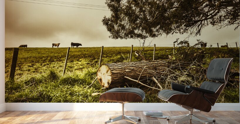 Tasmanian Country Farm Details Wall Murals