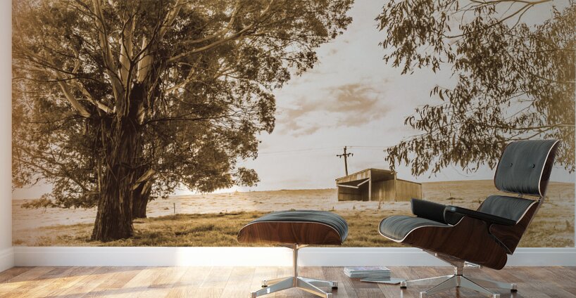 Old farmstead shack Wall Murals