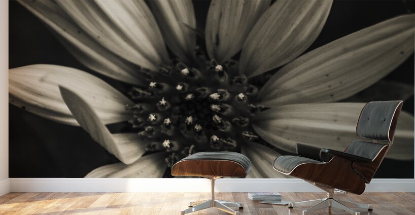 Floral elegance Wall Murals