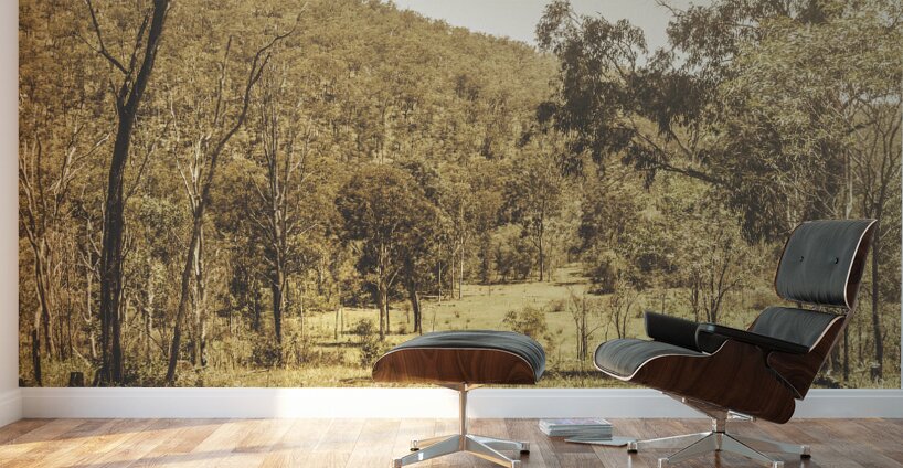 Vintage hillside Wall Murals