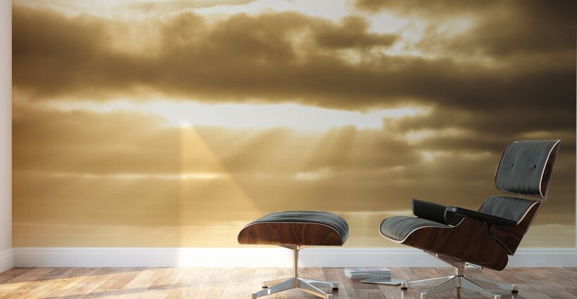 Light of dusk Wall Murals