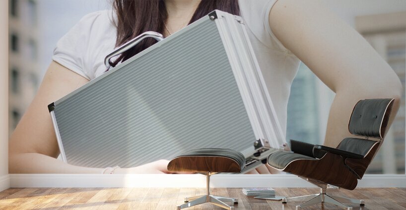 Business Woman With Dreams Aspirations And Goals Wall Murals