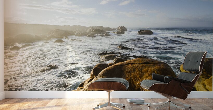 Pristine Tasmanian coast Wall Murals