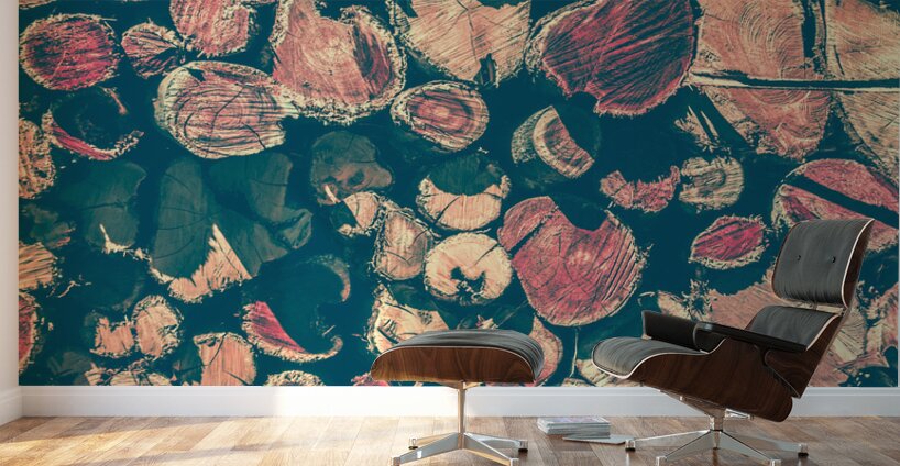 Backlog Wall Murals