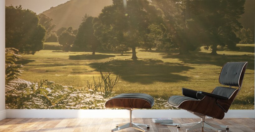 Fields of springtime Wall Murals