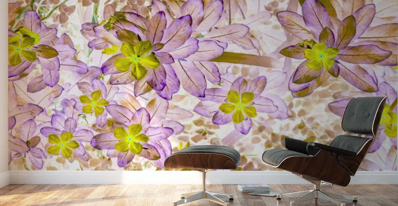 Embellished  Wall Murals