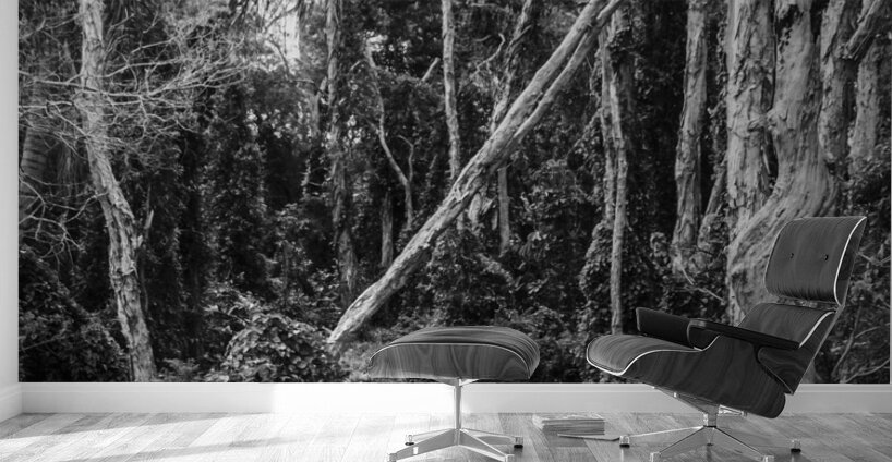 Vintage Outbacks Wall Murals