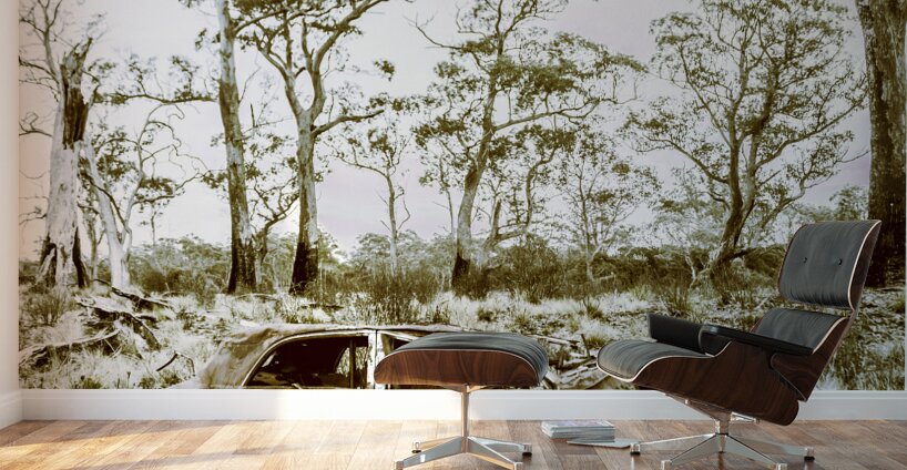 Vintage winter car wreck Wall Murals