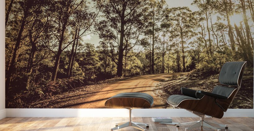 Off road trails Wall Murals