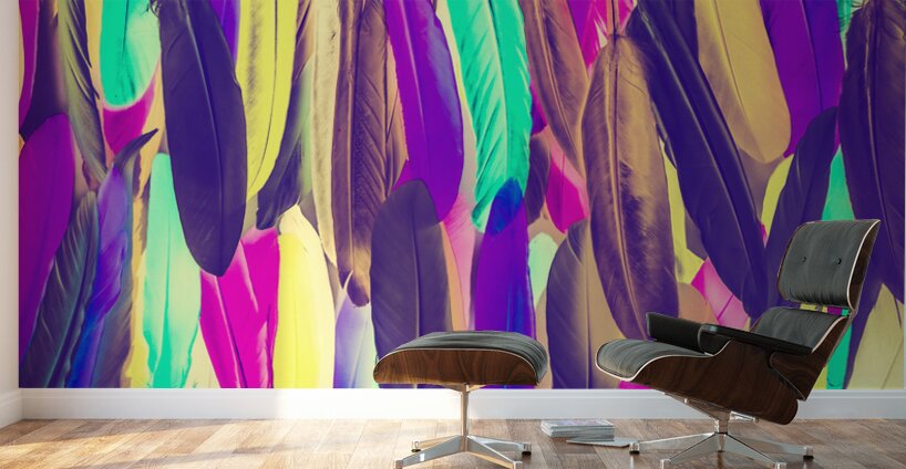 Colour runs Wall Murals