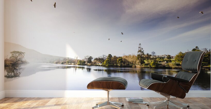 Derwent River reflections Wall Murals