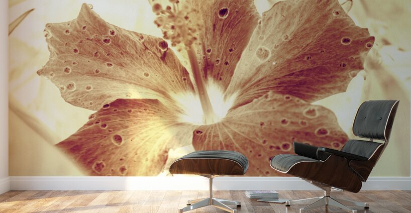 Hi-biscus Wall Murals