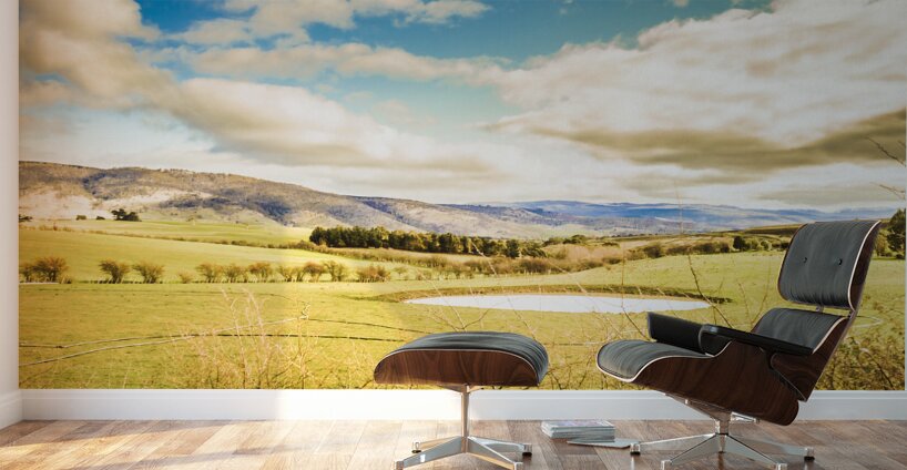 Fields of Plenty Wall Murals