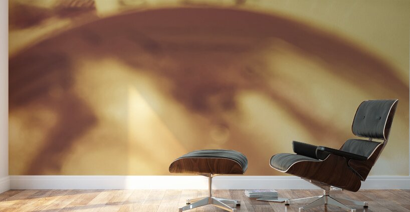 Love of whisky and card games Wall Murals