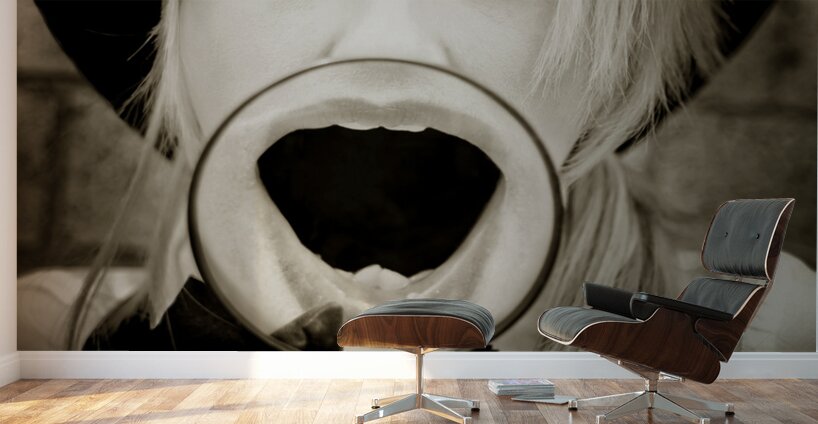 Crime Scene Investigator Uncovers Mystery Wall Murals