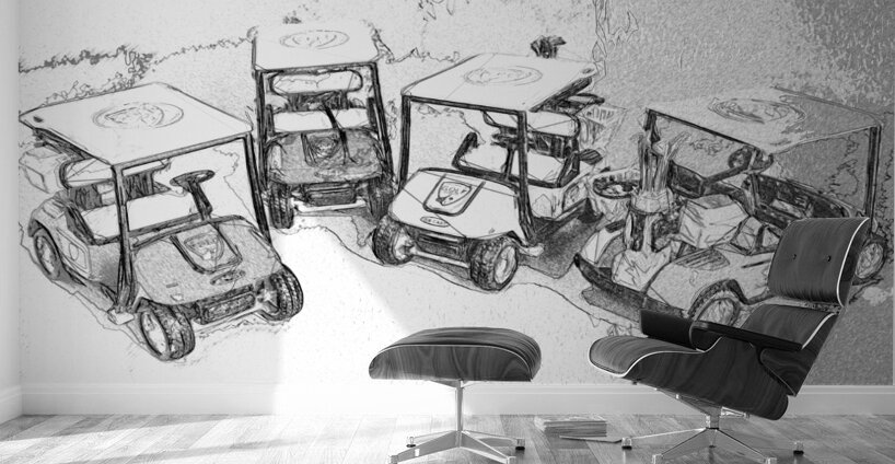 Course sketch Wall Murals