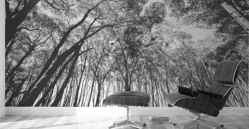 Parallels Wall Murals