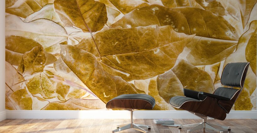 Seasonal gold Wall Murals