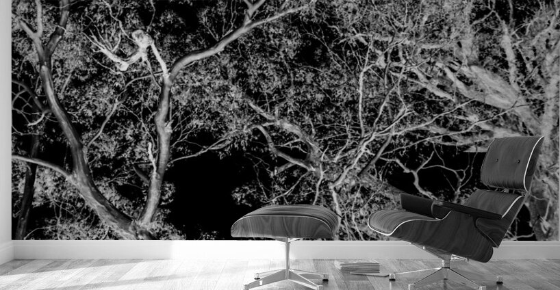 Tree dream Wall Murals