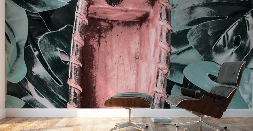 Jungle discovery Wall Murals