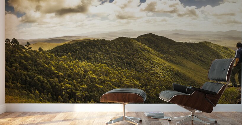 View from halfway up Mount Zeehan Wall Murals