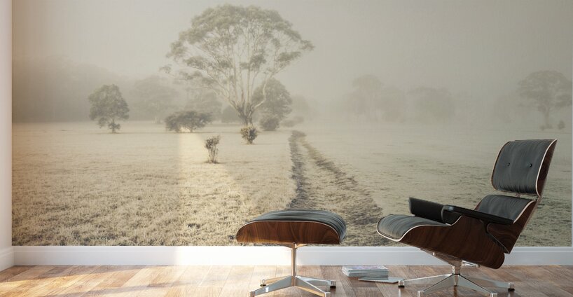 Winter Tasmania background Wall Murals