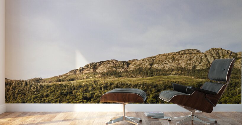 Mount Farrell Regional Reserve in Western Tasmania Wall Murals