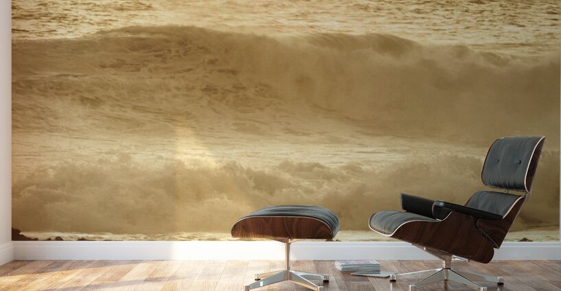 Evening oceans Wall Murals