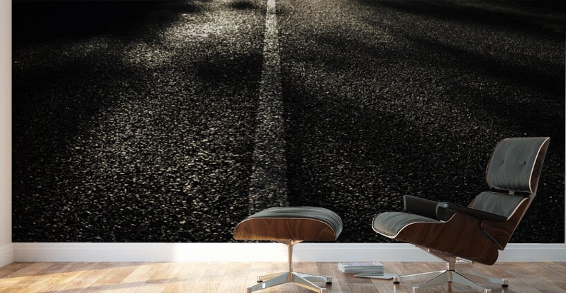 Dark Road Of Shadows Wall Murals