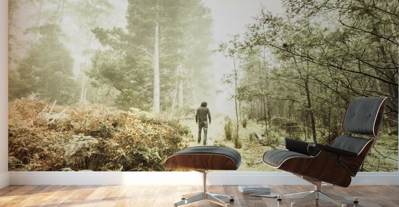 Mysterious trail Wall Murals