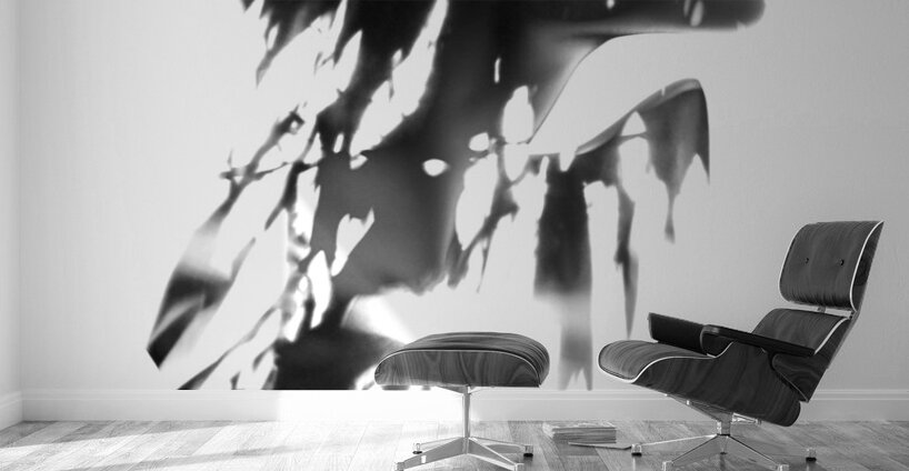 The inner core Wall Murals