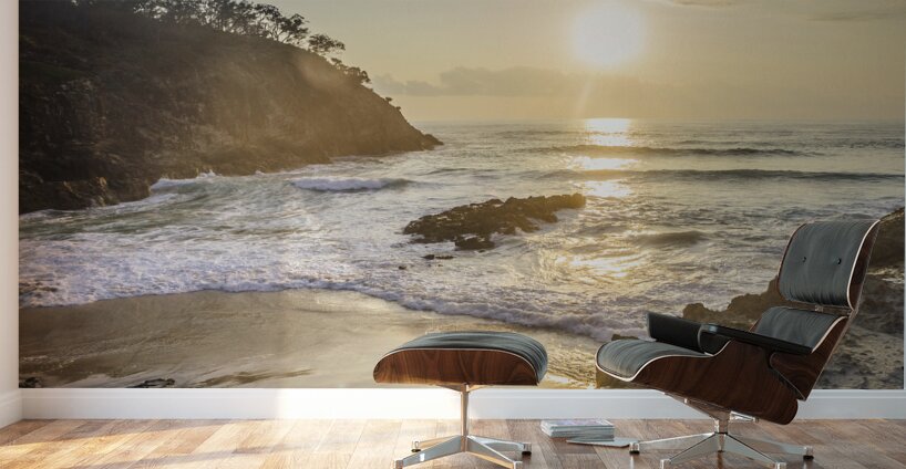 Ocean Enchantment Wall Murals