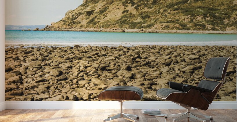 The Stanley Nut Wall Murals