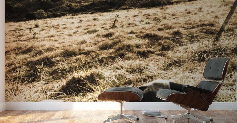 Australian adventurer on rural holiday Wall Murals