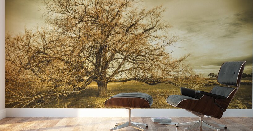 Oatlands autumn tree Wall Murals