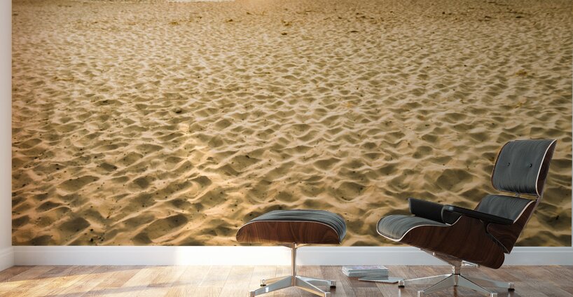 Sand Oasis Wall Murals