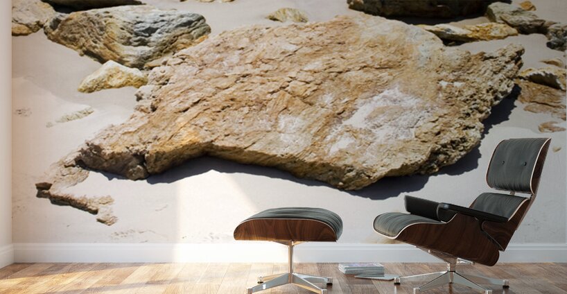 Beach Woman Wall Murals