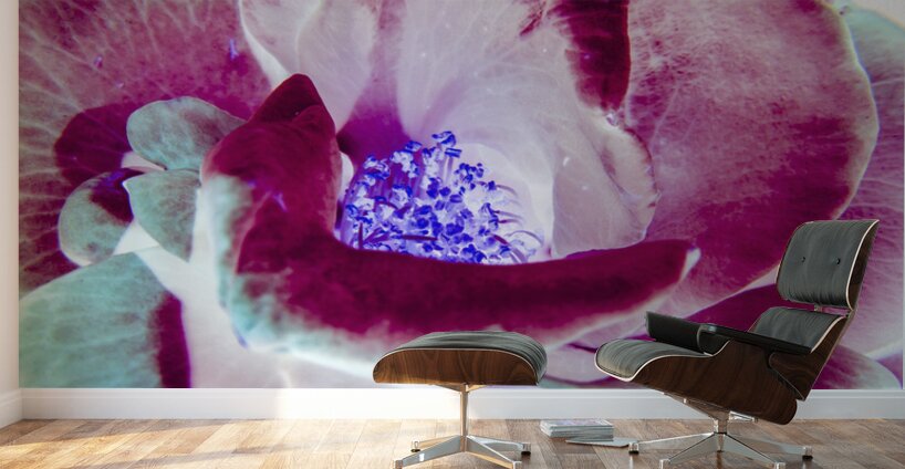 Wild exotics Wall Murals