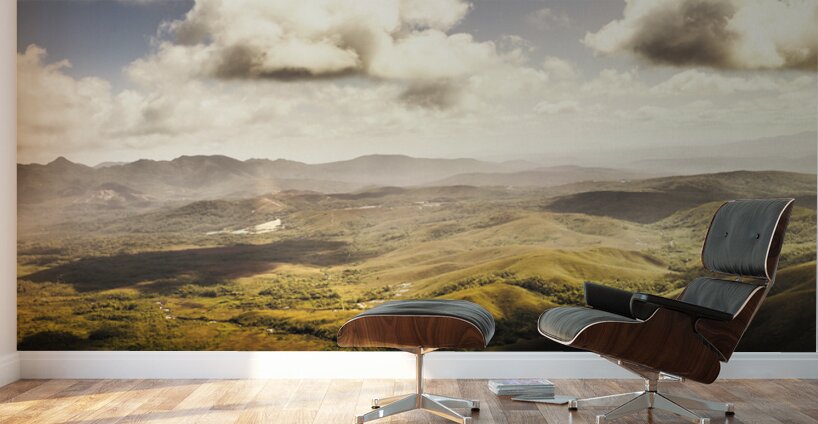 From Zeehan to Trial Harbour Wall Murals