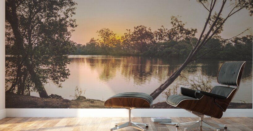 Late light  Wall Murals