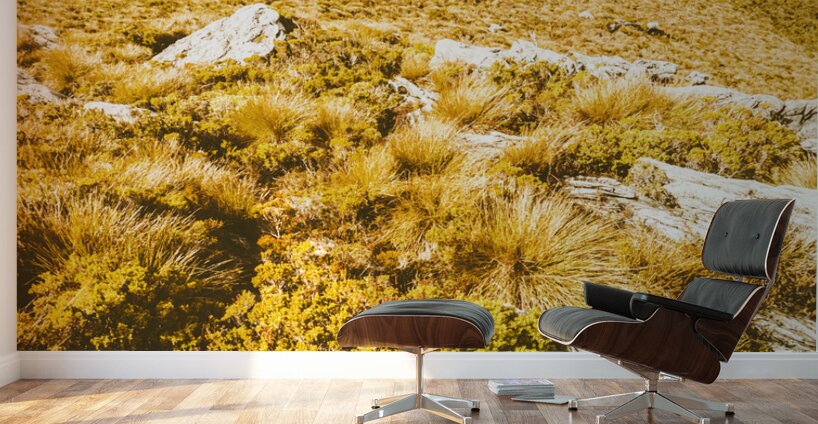 Rustic mountain terrain Wall Murals