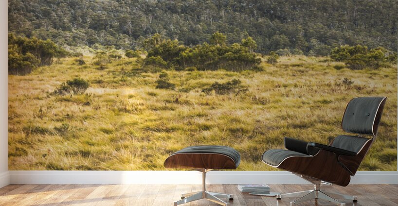 Peaks and plateaus Wall Murals