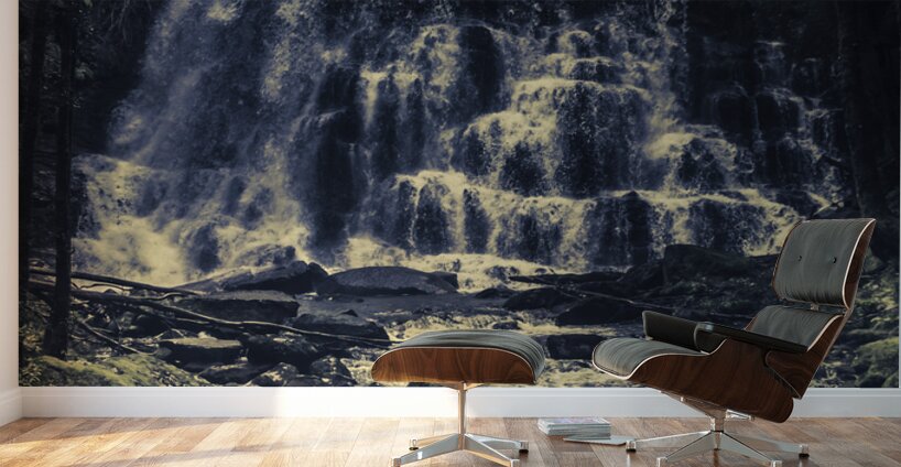 Forest falls Wall Murals