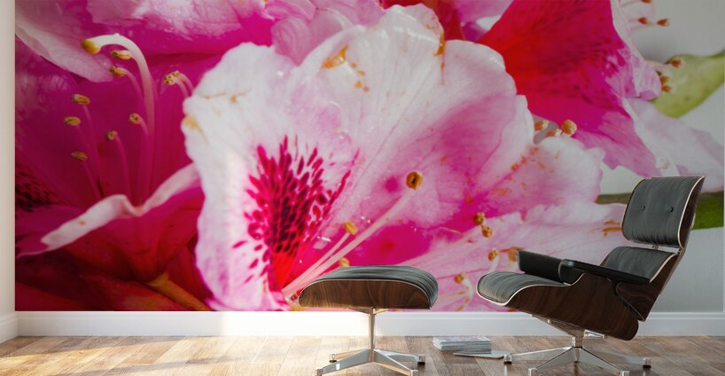 Spring of flower bouquets Wall Murals