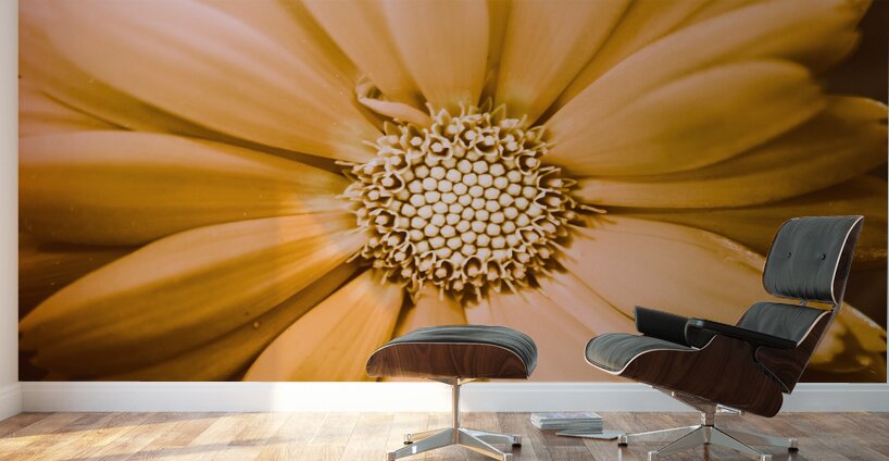 Decorative closeness Wall Murals